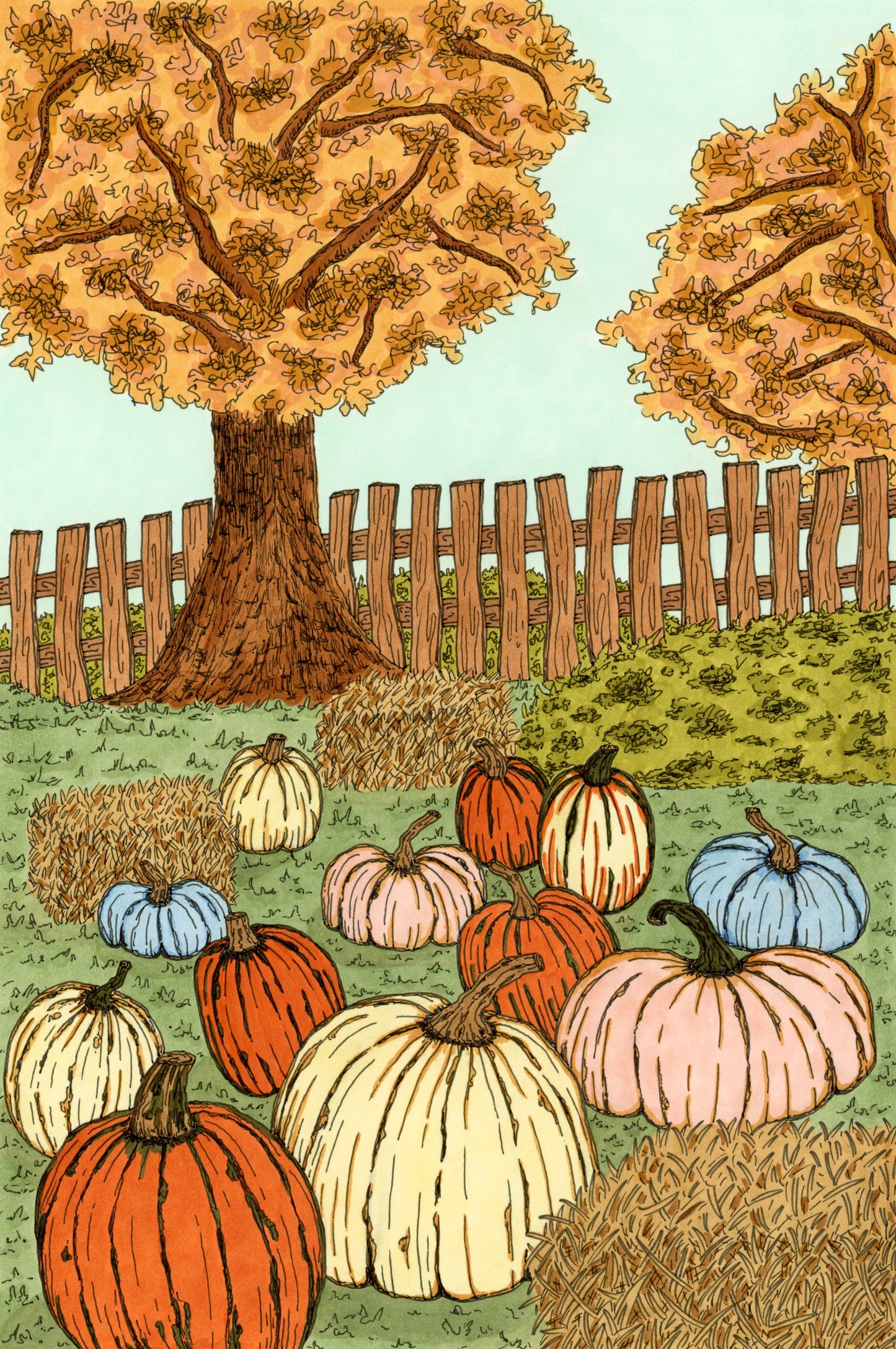Drawing of pumpkins and bales of hay with trees and a fence in the background