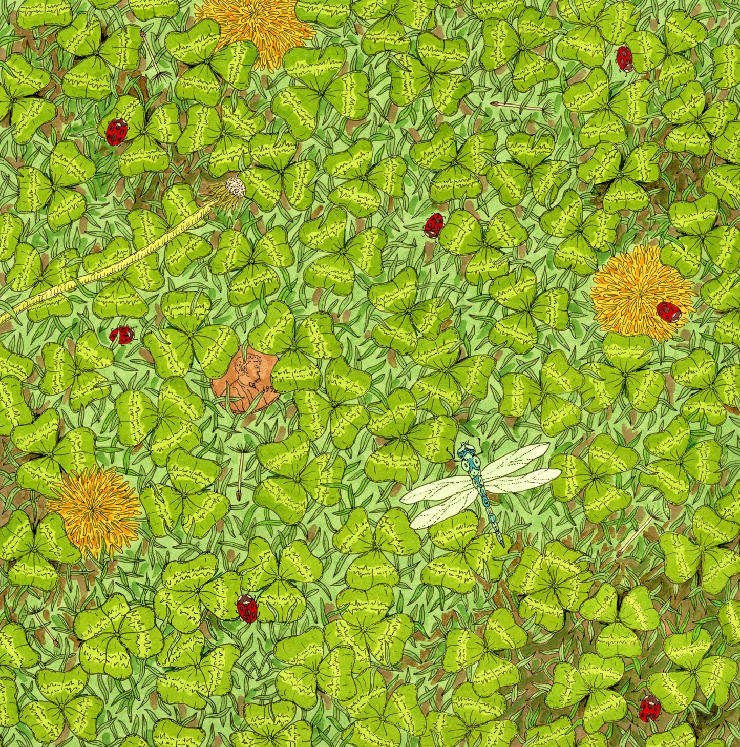 Drawing of clover with a dragonfly, ladybugs, and dandelion flowers.
