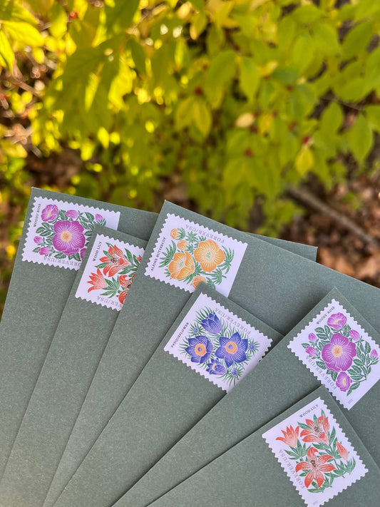 Is Snail Mail Making a Comeback?