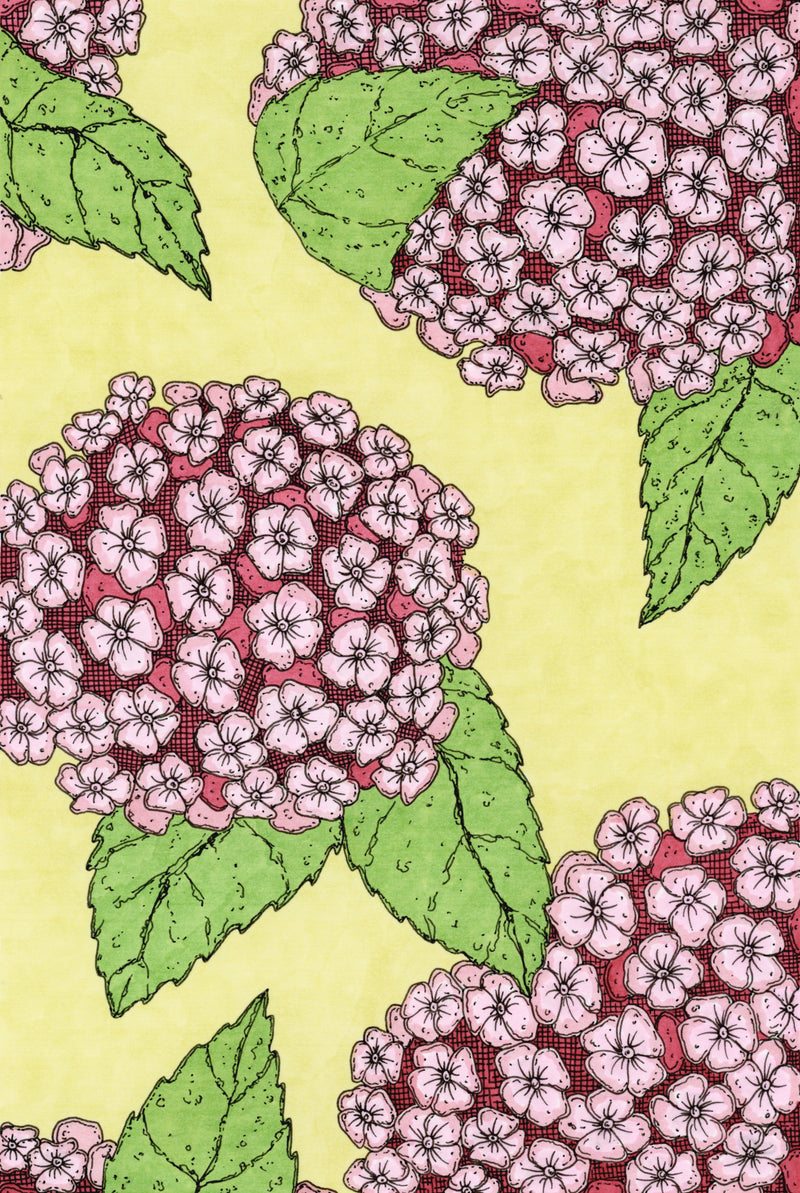 Drawing of pink hydrangeas on a soft yellow background