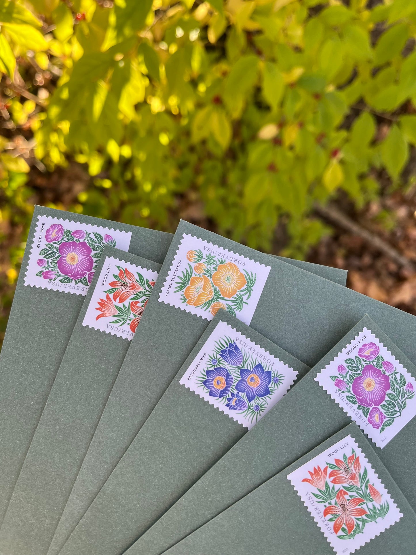 Snail mail club envelopes with floral stamps