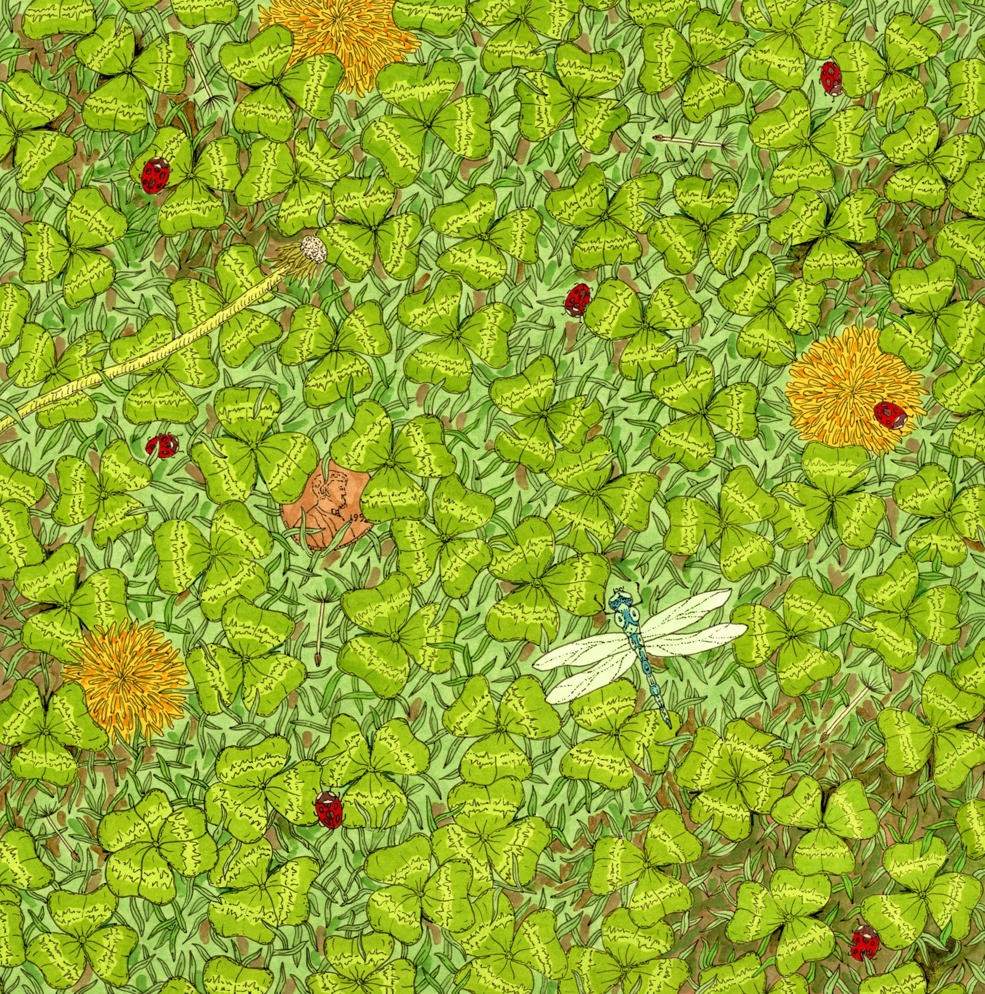 Drawing of clover with a dragonfly, ladybugs, and dandelion flowers.