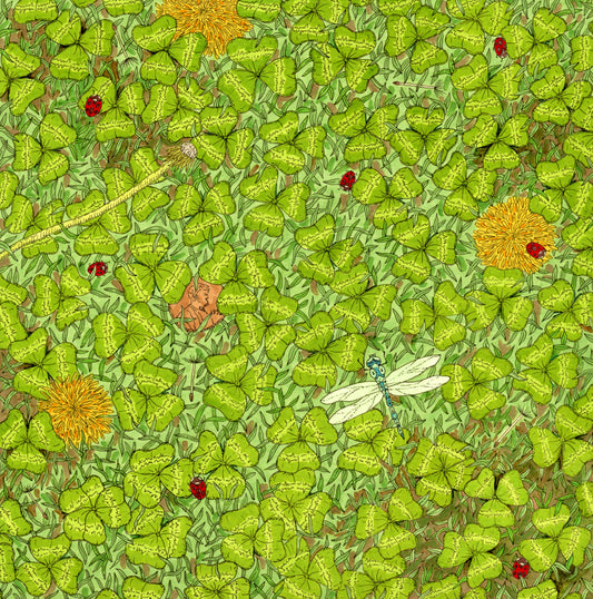 Drawing of clover with a dragonfly, ladybugs, and dandelion flowers.