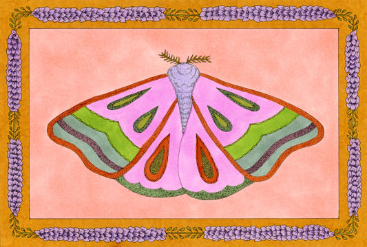 Colorful moth drawing on a pink background with a decorate flower border