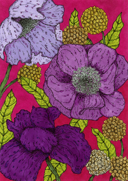Colorful drawing of purple poppies with a fuschia background