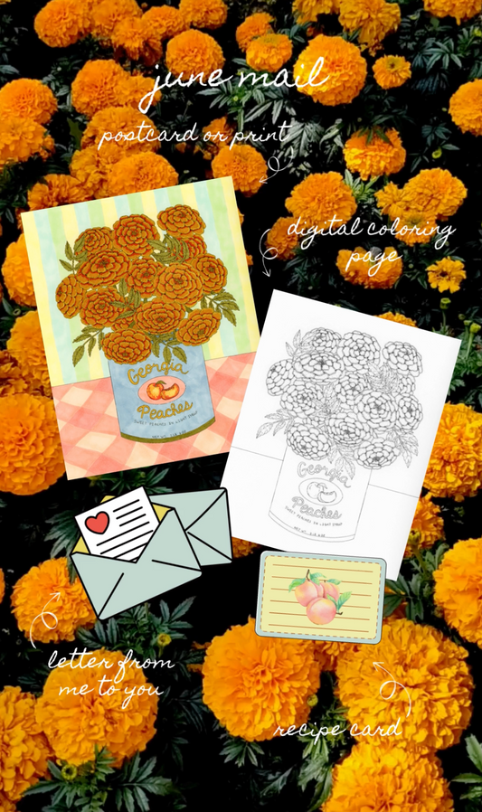 Snail Mail Club 💌 A Monthly Art Subscription